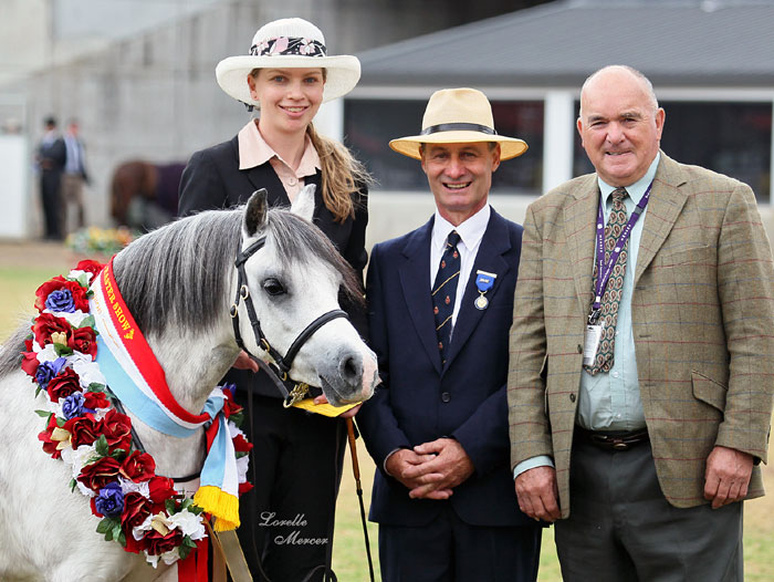 Supreme Welsh Pony Sydney Royal 2012 - Bellingara Leilani