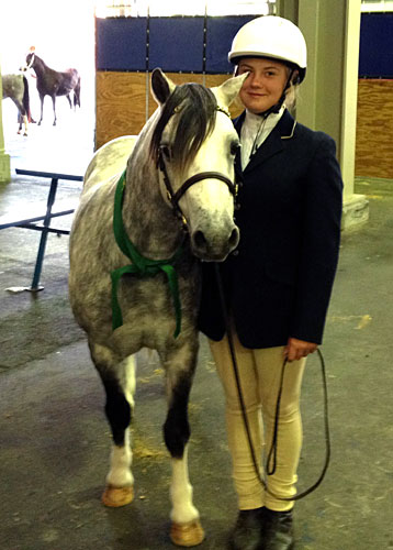 Welsh Pony Bellingara Nemo with Shanny