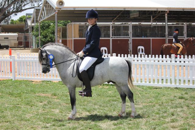 "Bellingara Taylor Made" owned by Chris & Lisa Finnis