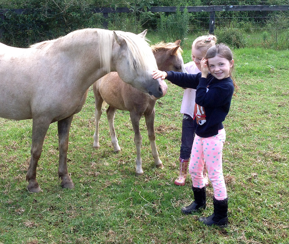 Kids patting Welsh mare and foal
