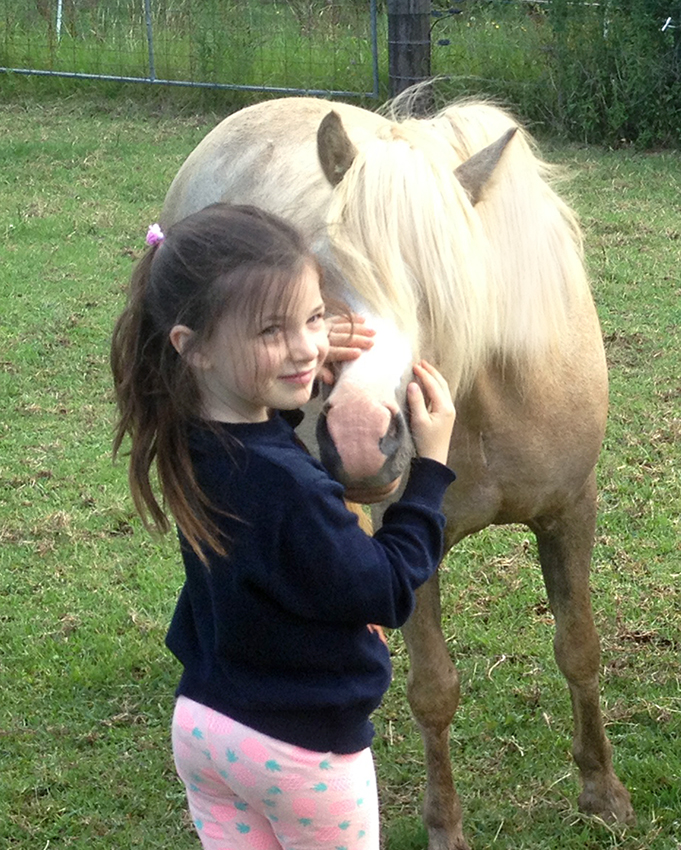 Welsh pony and little girl