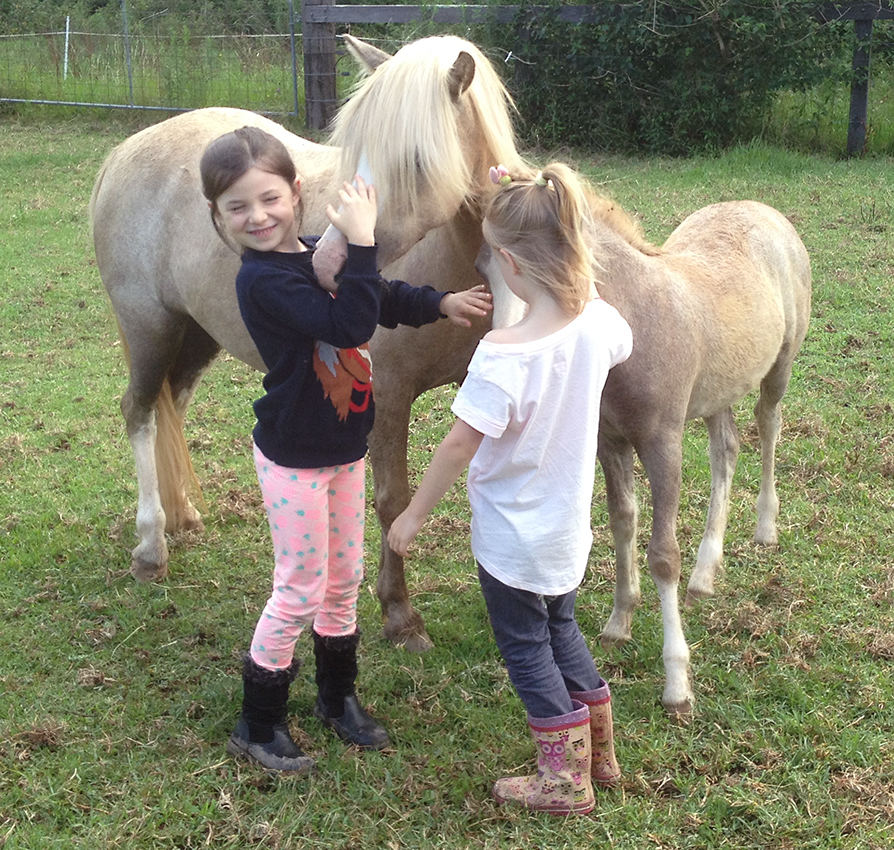 Girls patting mare and foal
